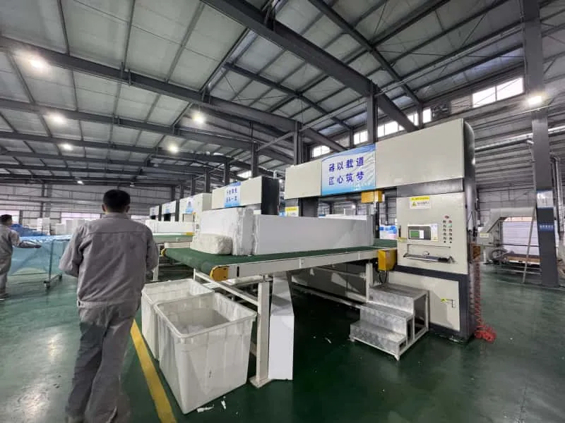 IMG9579-tuya IMG9579-tuya